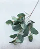 artificial eucalyptus 2