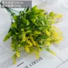 7-fork lavender yellow