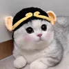 A19