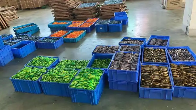 Heze Dexin Outdoor Products Co., Ltd. 3