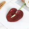 Single film anthurium dark 1