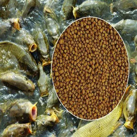 Fish Aquacultrue Supplement Concentrated Fish Feed Binder for Fish Feed Food