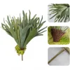 Felce staghorn grande a 14 foglie