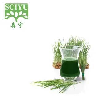 100% water soluble health Green Drink powder wheat grass powder