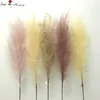artificial pampas 20forks