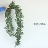 Eucalyptus laurentii vine