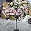 Rosa rosa 6 1.5m