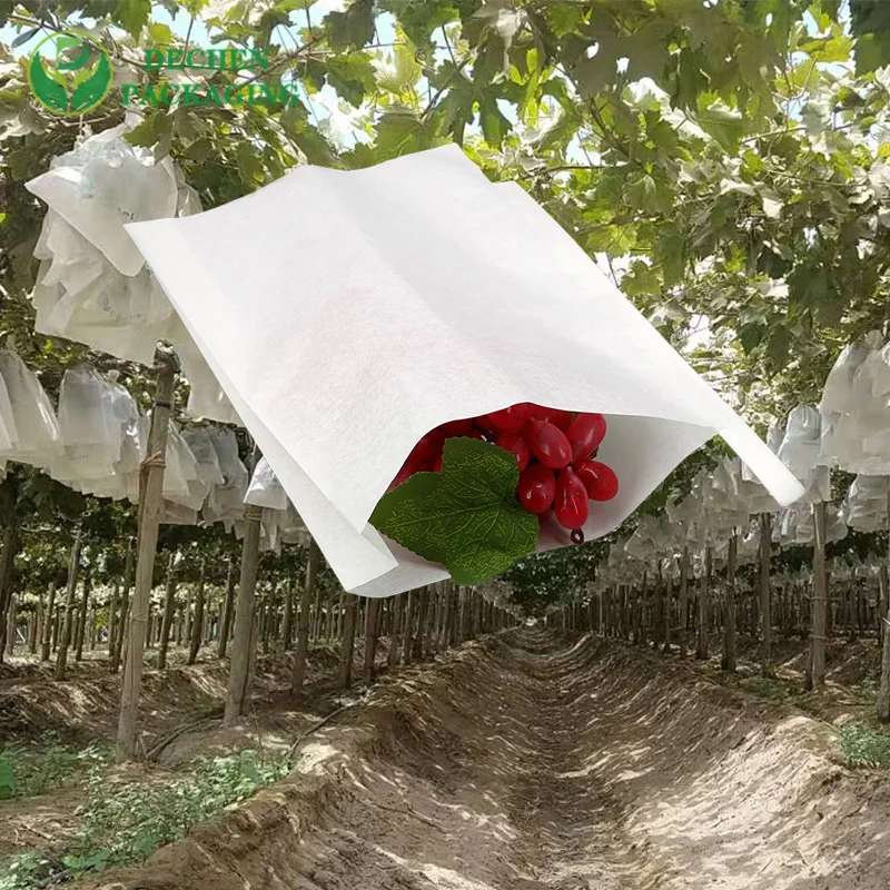 Papel de mango ultravioleta para cultivo de frutas Bolsa de protección de uva de mesa