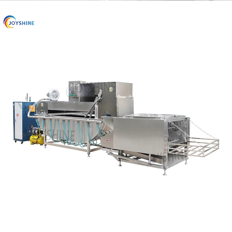 Capacity 300 Chicken Per Hour Automatic Chicken Plucker Equipment Small Slaughter Line