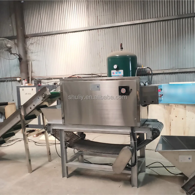 Garlic peeler machine - Shuliy Machinery