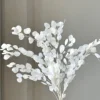 Bianco 100 g