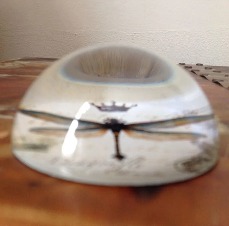 Circular Glass Dragonfly Paperweight MH-F0491