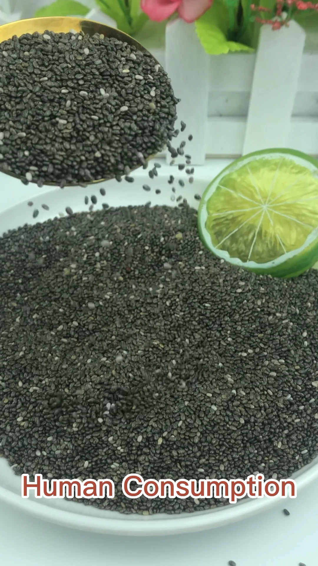 Wholesale Mexico Chia Seeds Raw Material High Purity Good Price Buy