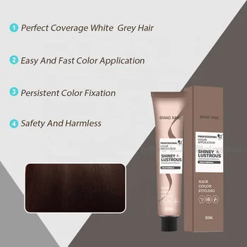 Guangdong Professional Hair Dye Cream Low Ammonia Salon Use Factory Price Wholesale Excellent for Covering White Hair
