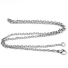 Silver Chain C