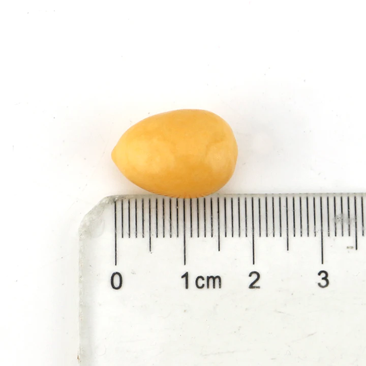 egg bubble gum