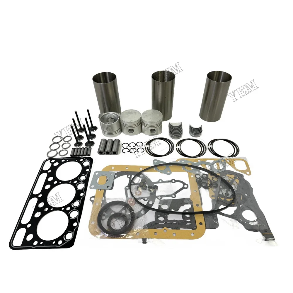 Engine Repair Kit for KUBOTA D1302 Engine