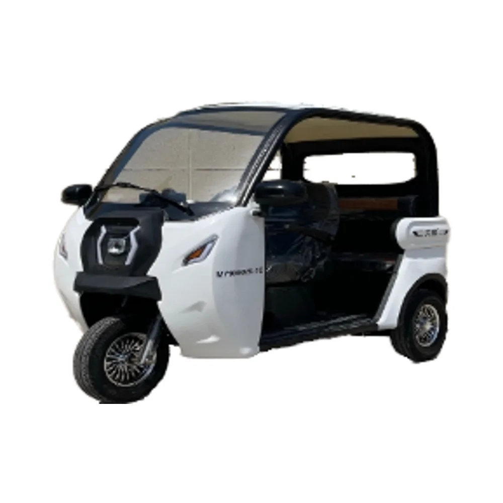 日本三輪電動スクーター三輪屋根付乗客および貨物用三輪電動