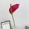 Rose rouge