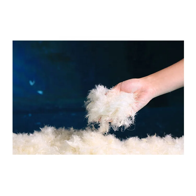 
Low-priced wholesale European standard 30% pure white duck down feather for household bedding 
