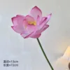 Una flor de loto de color púrpura rosado