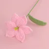 Branches de fleurs de bulbe de lys rose