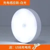 Luz blanca automática para la entrada de personas.