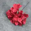 New - Big Red with branches