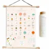 polychrome