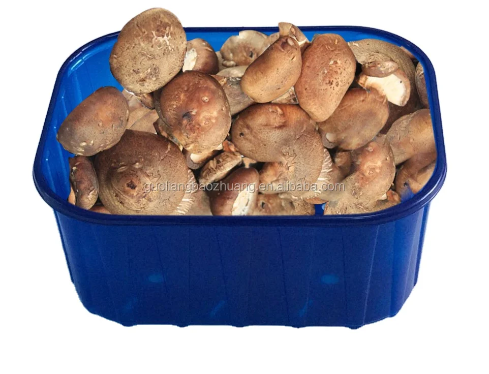 Fresh Food Biodegradable Packing Box for Mushroom PP Plastic Tray