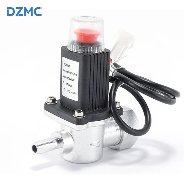 LPG Gas Solenoid Cut-off Valve - Wired Emergency Shut-off for Home Use