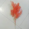 Orange-rouge