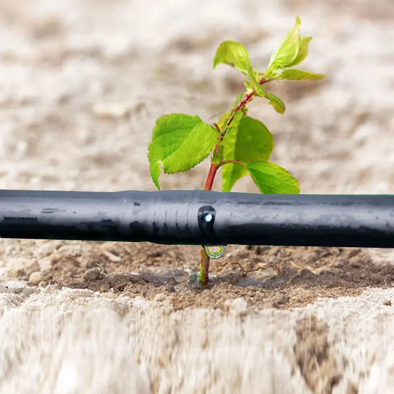 Drip Lines 1 Hectare System Fruit Trees Drip Irrigation Pipes for Farms 1000m