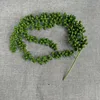 New Three-Pronged Lover's Tears Green