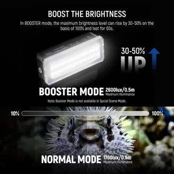 NEEWER WP12 Underwater Diving Light, 33ft/10m IP68 Waterproof LED Video Light with Ball Head, 1900mAh 5600K CRI97+ TLCI98+ detail image