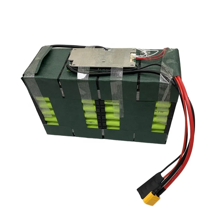 Customized 14.4V 100Ah Li-ion Rechargeable Battery Pack with BMS for Motorcycle Citycoco Electric Motorbike