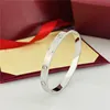 With Diamond Silver