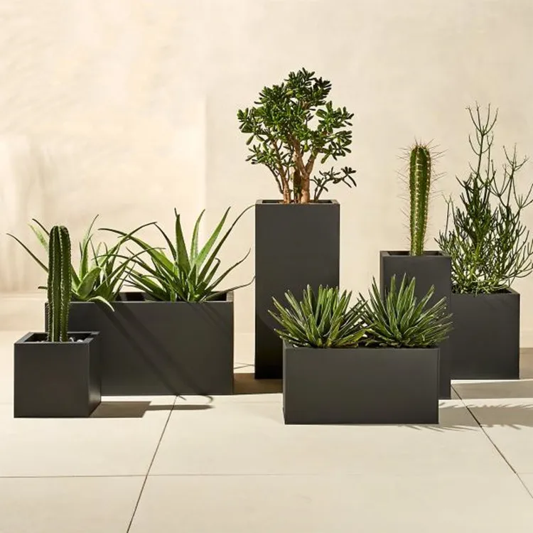 Shop Slant Cement Planters. A slight slant to the rim trends these planters from