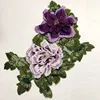 Viola