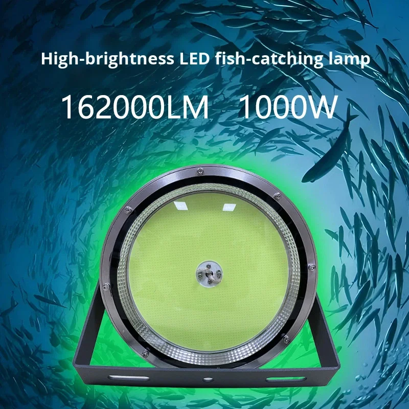 Fabricant fournissant des lampes LED attractives pour poissons, lampes à LED en forme de maïs (COB), lampes pour pieuvres, lampes étanches IP65 pour pêche maritime depuis un radeau, lumière du jour 6000 K, en acier inoxydable