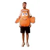 Adult Clownfish
