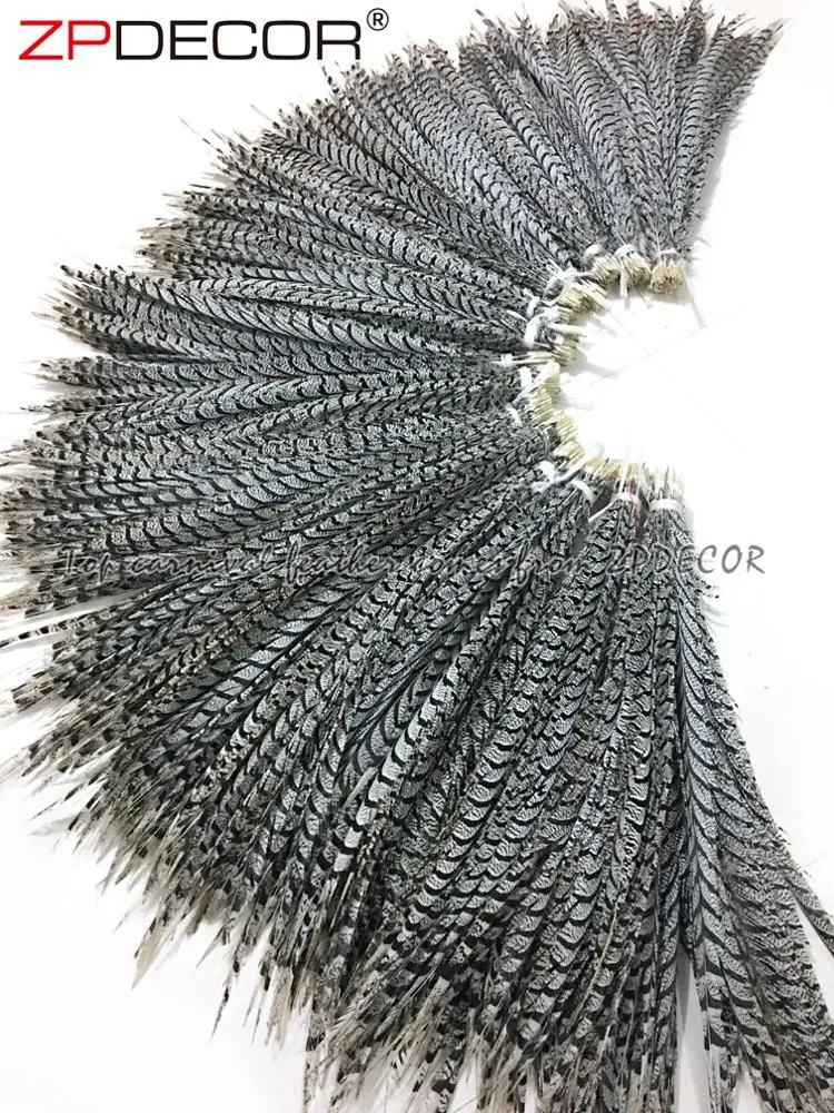 ZPDECOR Wholesale Long Size 90-100 cm Stock Natural Zebra Lady Amherst Pheasant Tail Feather for Brazilian Carnival Costume