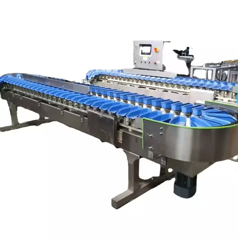 Professional Factory Crayfish Sorting Machine By Weight Fish