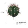 Mini cactus de espina amarilla