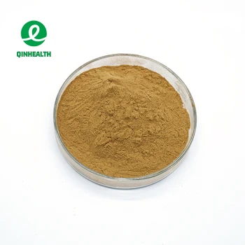 Top Quality Seaweed Protein Powder Undaria Pinnatifida Extract