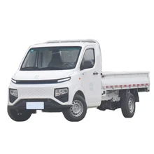 Geely Remote Star Yiuwei F1E  Range 230 Pure Electric Flat Surface Mini Van Truck Electric cargo truck