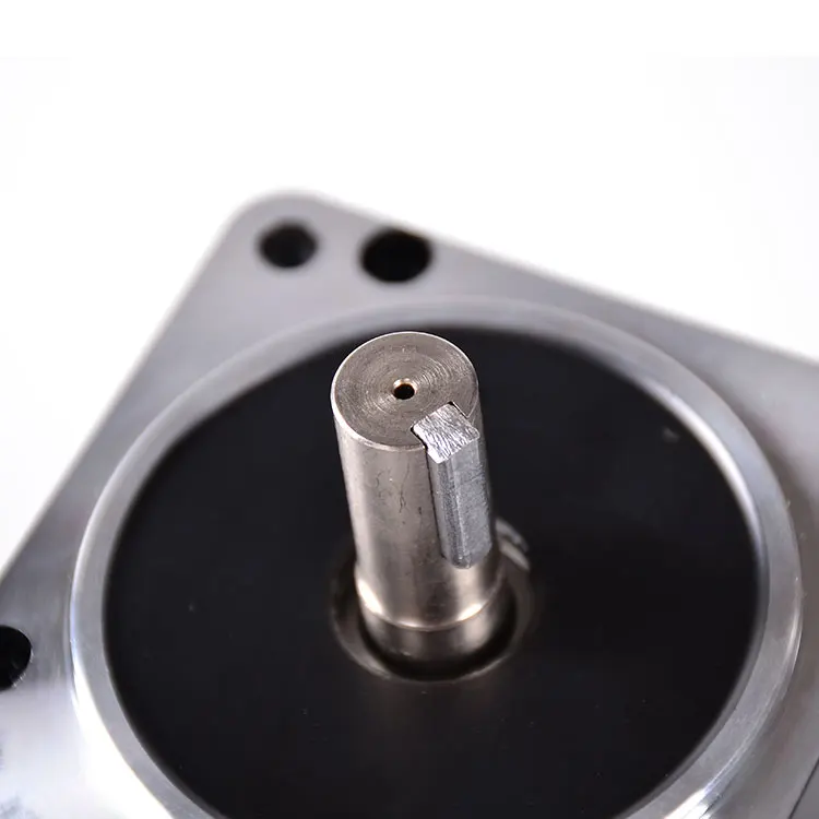 DMKE Custom Motor for Electric Gate 200W 750W 310V 12V 0.29Nm 2.3Nm 1HP 0.12HP Brushlessdcmotor