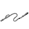 Gray-Leash
