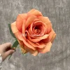 DZ008-10   ดีแซด008-10