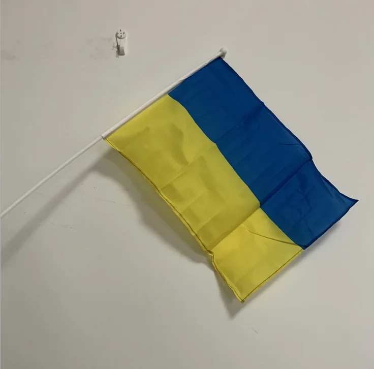 AGAS Ukraine Flag 12x18 Inches - 100% Polyester, Double Stitched, 24" Wooden Pole With Gold Spear Top - View #8